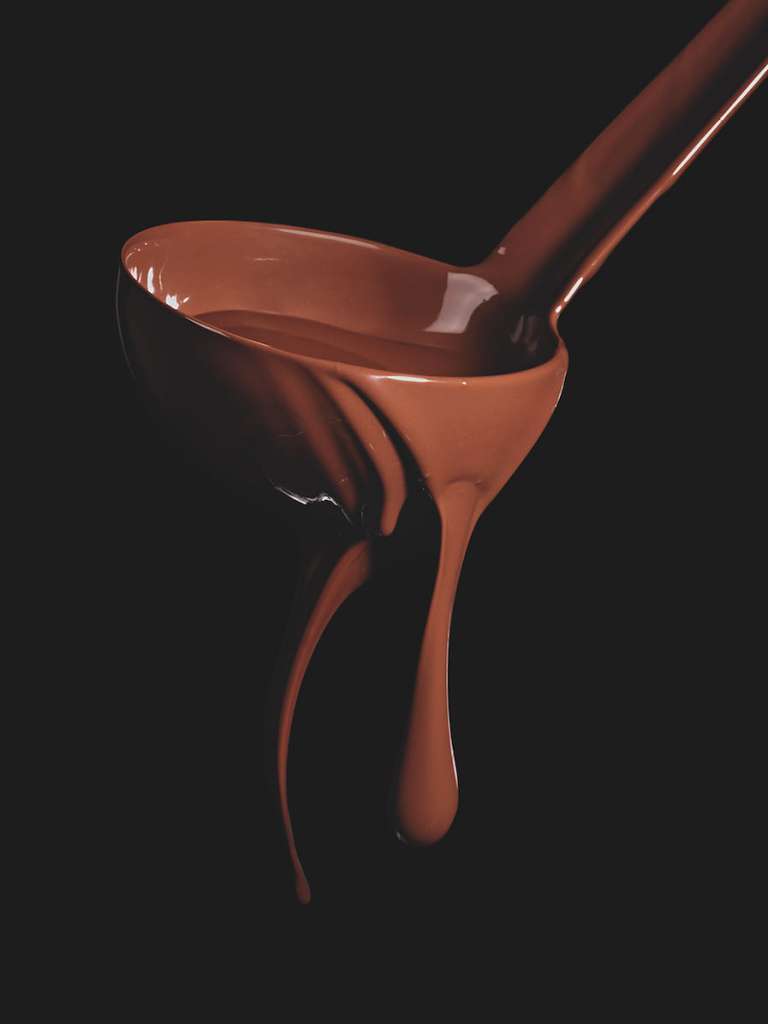 pierrehermechocolate_p6-sergio-coimbra-chocolat-flammarion