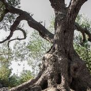 Unknown-4